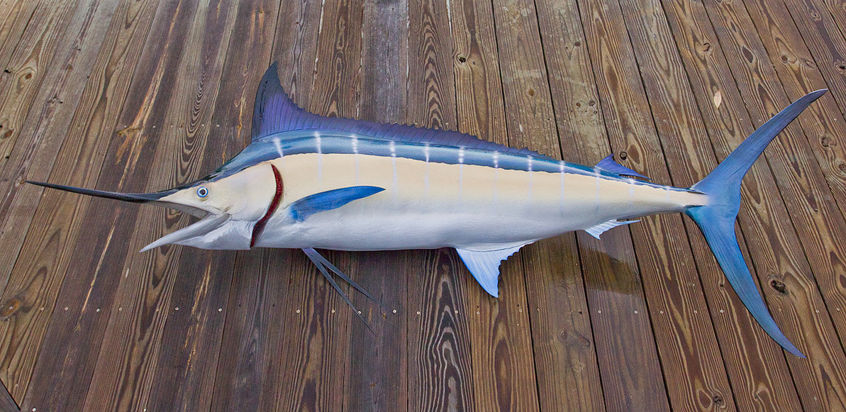 Historic Numbers in Cap Cana