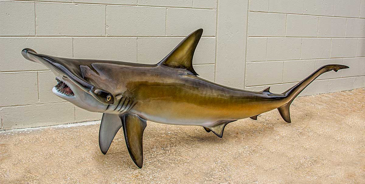 Hammerhead Shark 78L inch full mount fiberglass fish replica - The