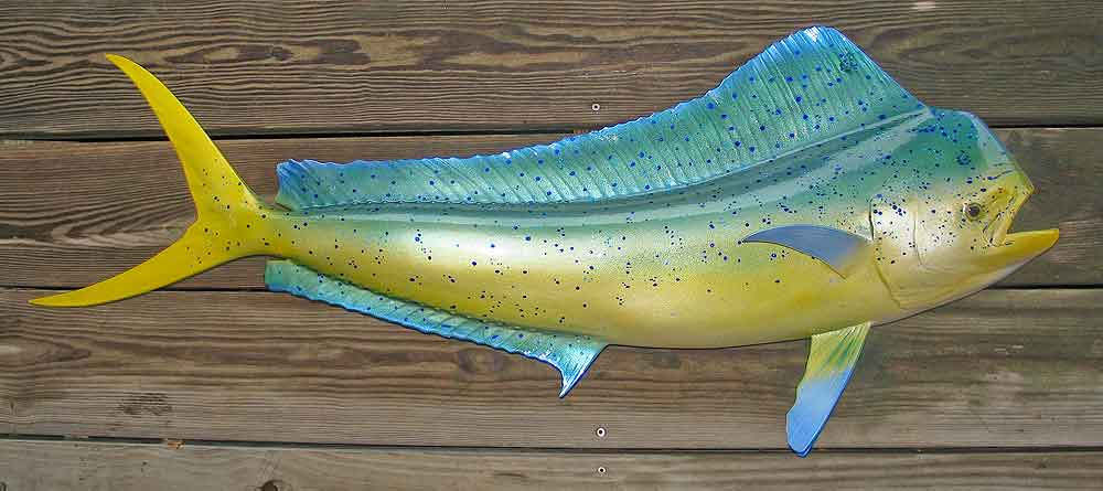 48 Inch Fish Mahi Mahi 46 inch Full Mount Fiberglass Fish Replica - The Fish Mount Store