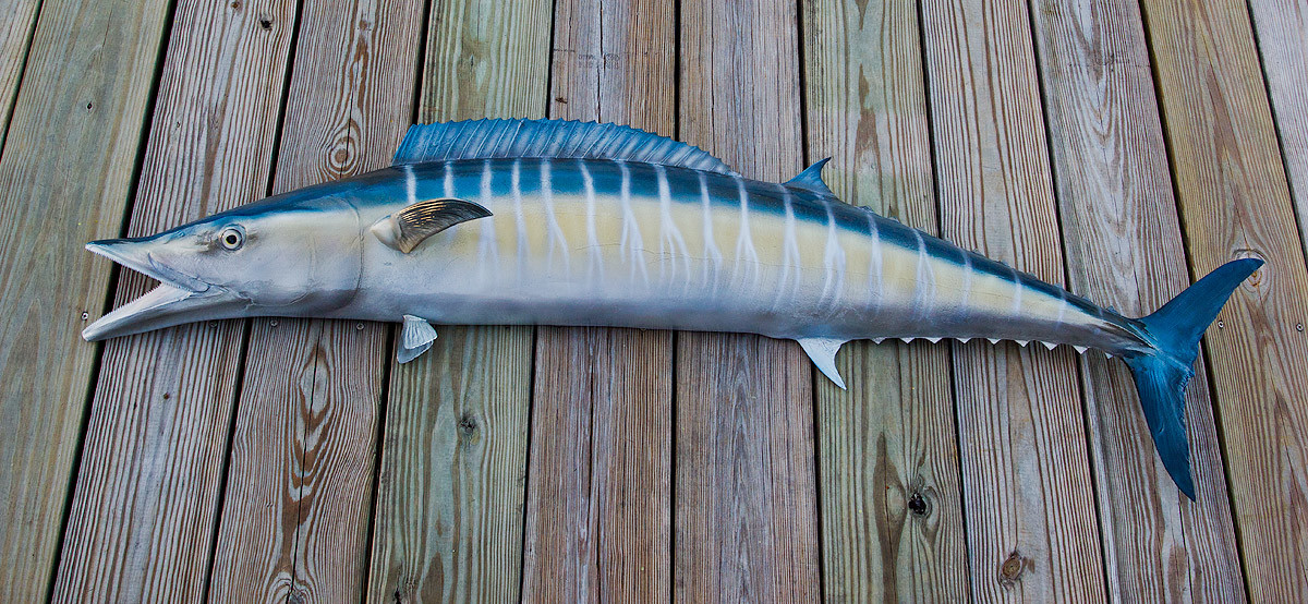 Wahoo-62L-2-1200__68179.