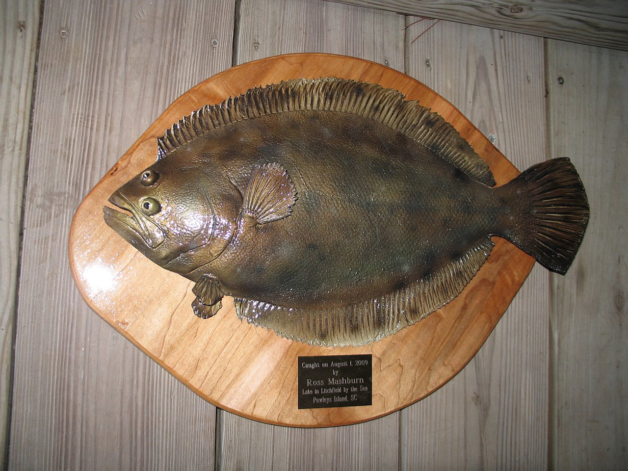 Flounder 20 inch half mount fiberglass fish replica with custom plaque