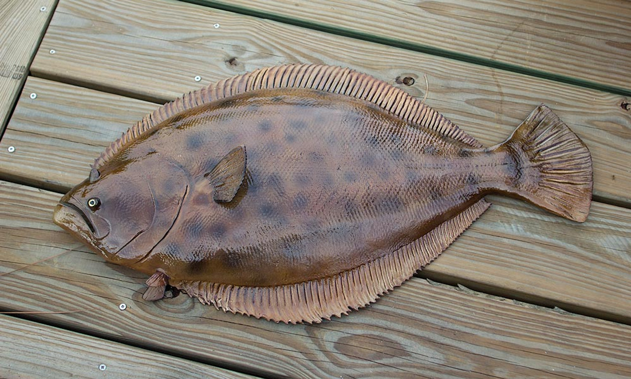 Flounder 31 inch half mount fiberglass fish replica - The Fish