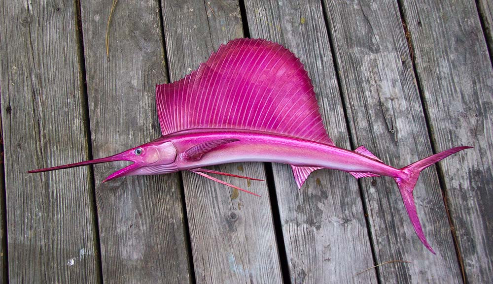 LIMITED EDITION PINK Sailfish 36 inch half mount fiberglass fish