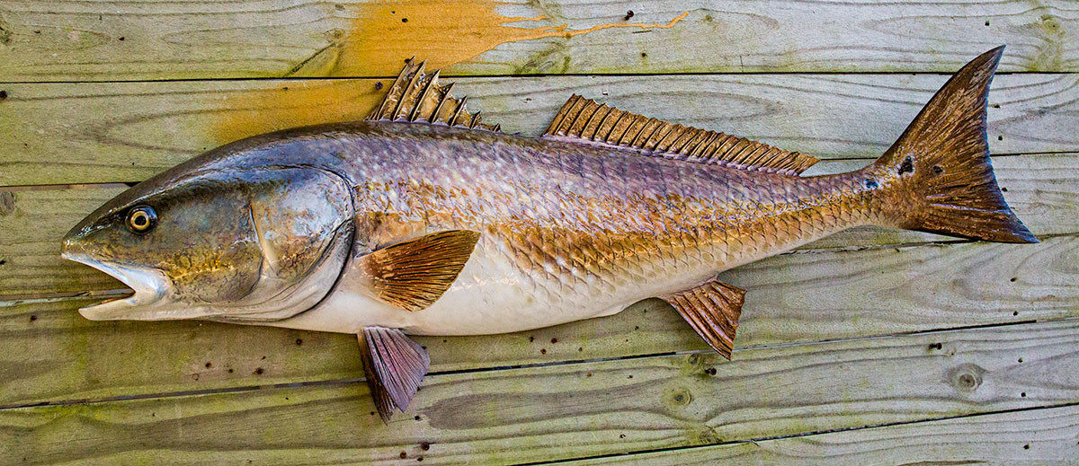 Rep Fish Redfish 41L inch Half Mount Fiberglass Fish Replica - The Fish Mount Store