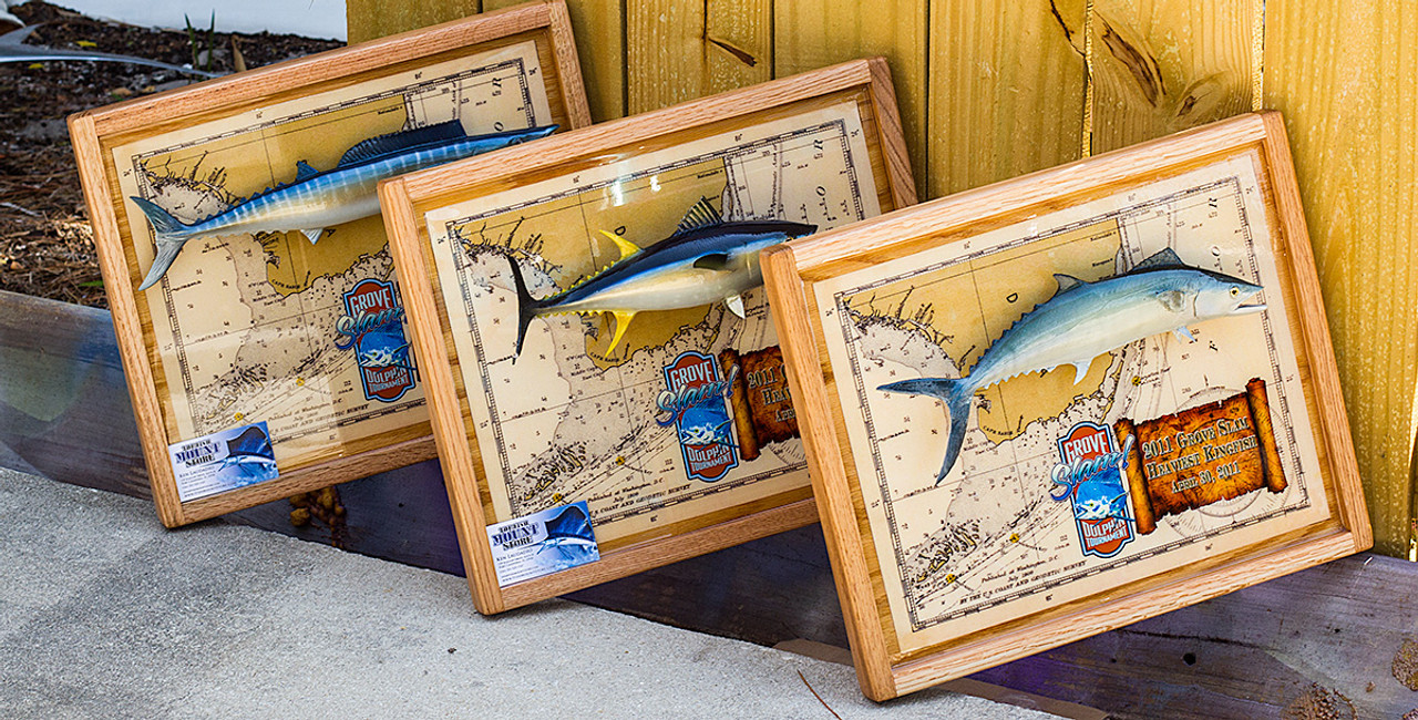 Shadowbox Trophy Plaque - The Fish Mount Store
