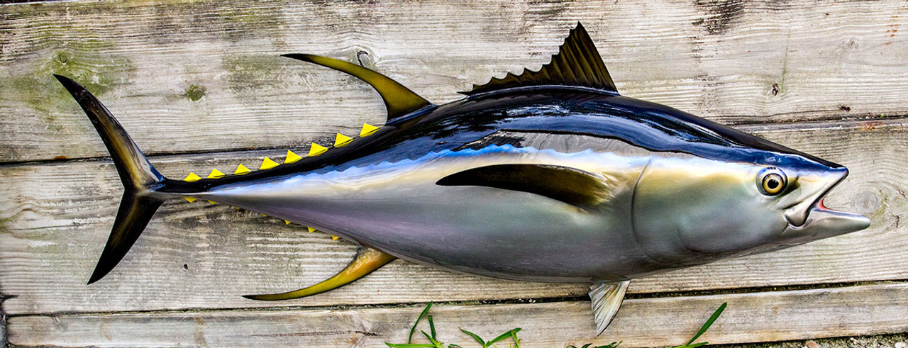 Yellowfin Tuna 55R inch half mount fiberglass fish replica - The