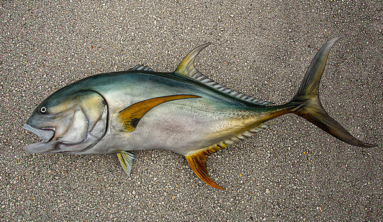 Jack Crevalle 46L inch fiberglass fish replica