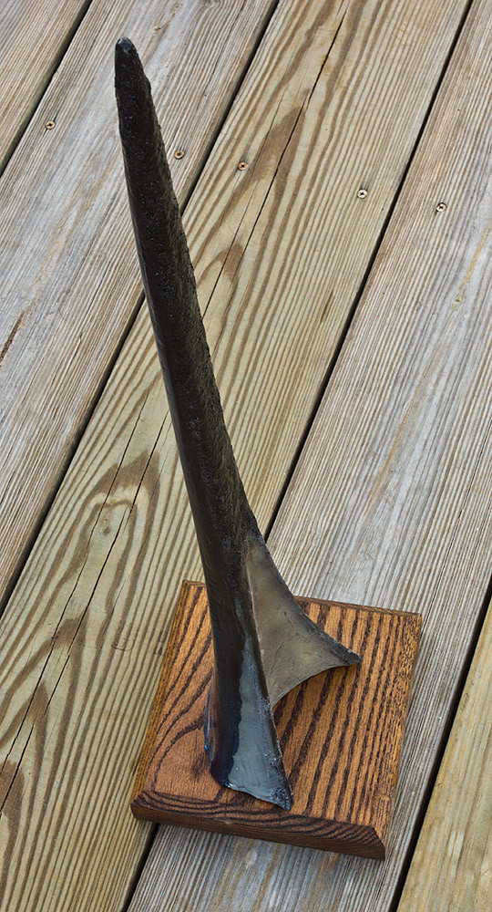 Blue Marlin bill The Fish Mount Store