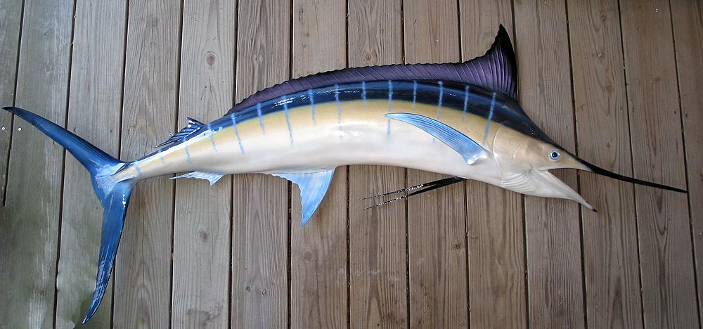 Blue Marlin Mounts