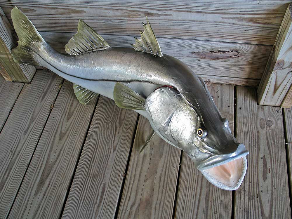 Snook 45 inch full mount fibergass fish replica - The Fish Mount Store