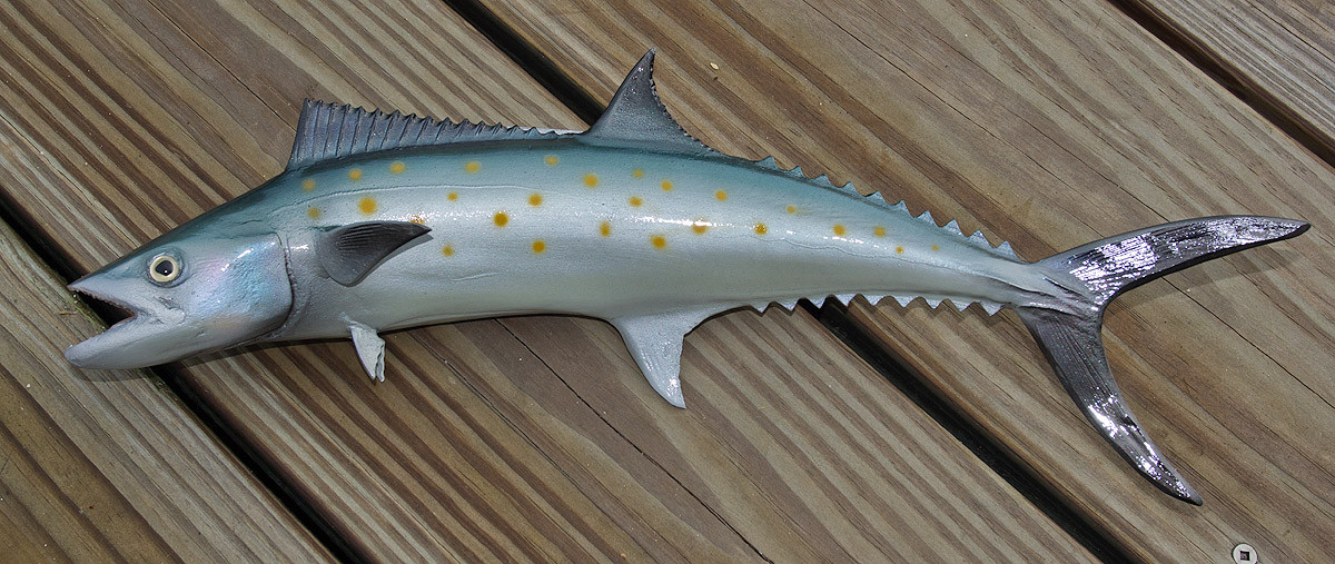 Kingfish, King Mackerel fish mounts