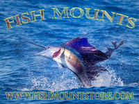 The Fish Mount Store