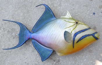 Qeen Trigger fiberglass fish replica