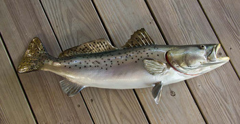 Seatrout, Speckled trout fiberglass fish replica