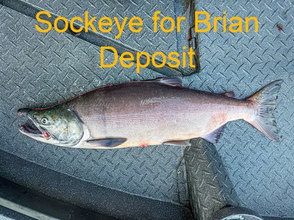 Sockeye for Brian - DEPOSIT