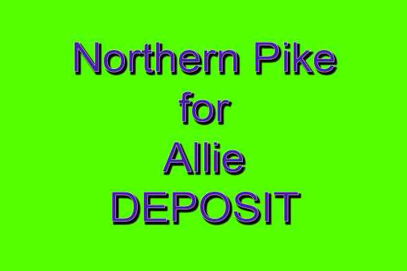 Northern Pike for Allie