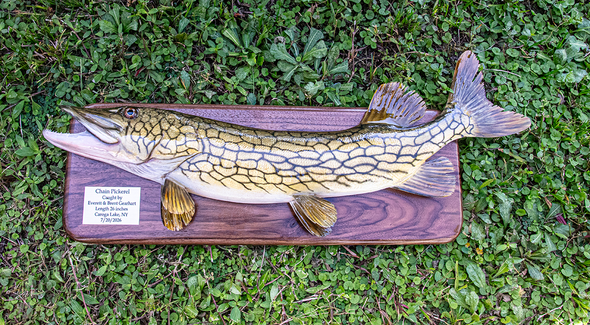 Pickerel on Walnut - Balance