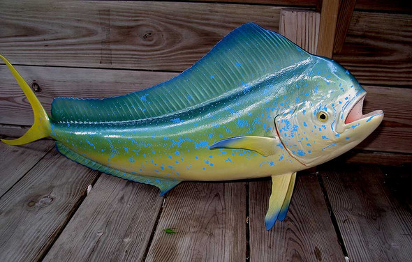 Mahi mahi, dorado, dolphin fiberglass fish replica