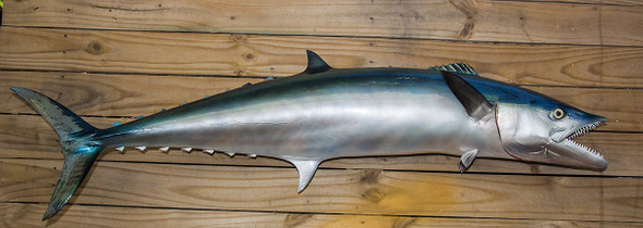 King Mackerel fiberglass fish replica