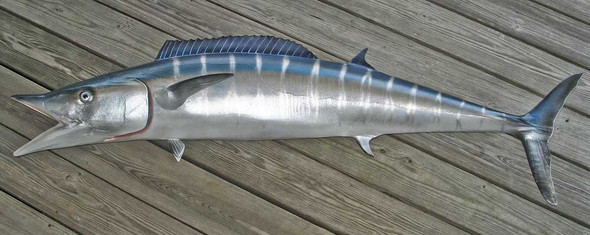 Wahoo 71L inch Full Mount Fiberglass Fish Replica