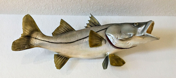 Snook fiberglass fish replica