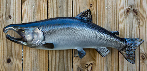 Silver or Coho Salmon replica