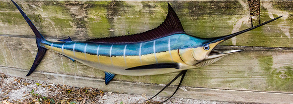 Blue Marlin Mounts