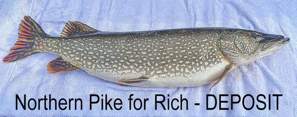 Northern Pike for Rich - DEPOSIT