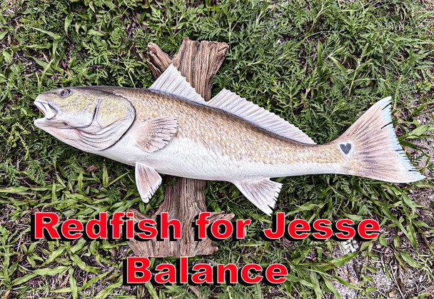 Redfish for Jesse - Balance
