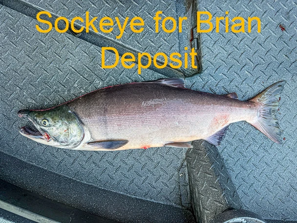 Sockeye for Brian - DEPOSIT