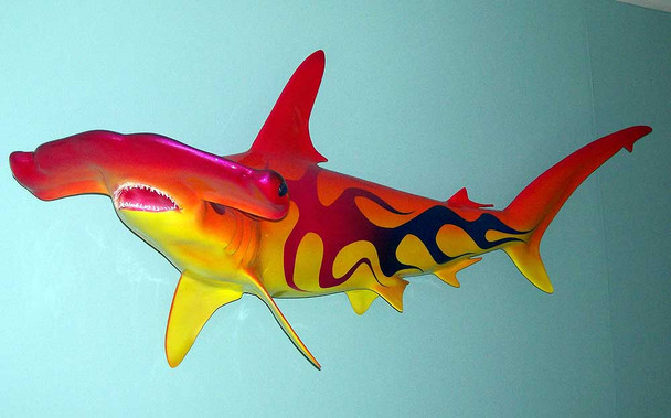 Hammerhead Shark 54 inches full mount with custom flame paint