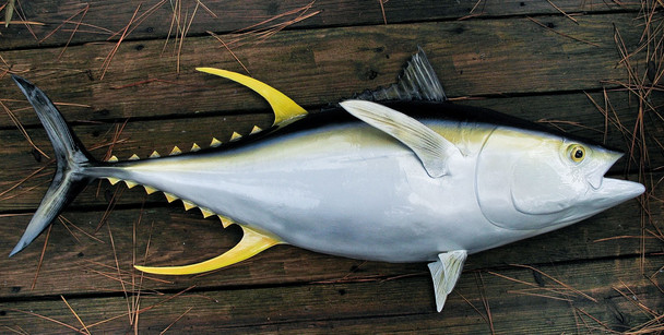 Yellowfin tuna fiberglass fish replica