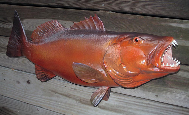 cubera snapper fiberglass fish replica