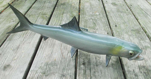 Ladyfish 23 inch fiberglass fish mount replica