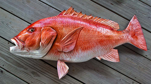 Red Snapper 38 inch Full Mount Fiberglass Fish Replica