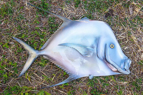 Lookdown 19 Full Mount fiberglass fish replica
