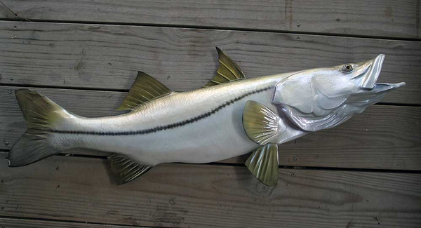 Snook 43 inch half mount fibergass fish replica - The Fish Mount Store