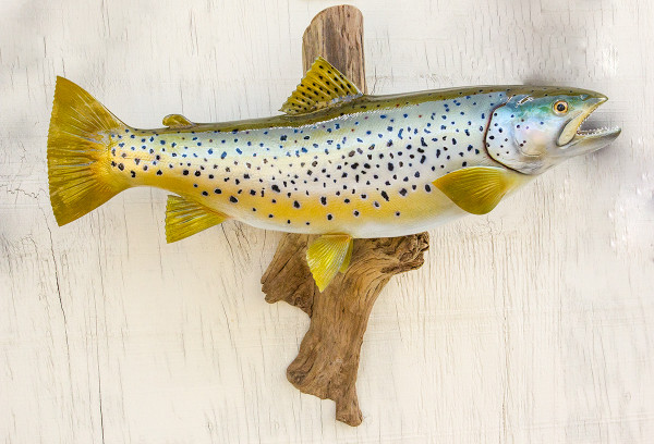 20 Brown Trout on Driftwood - The Fish Mount Store