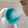  Mr Mist Ionic Steamer Gesichtssauna