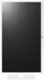 LG LCD Monitor 24BK550Y W 23.8 Zoll IPS Full HD White 
