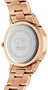 Daniel Wellington Iconic Link Unisexuhr Roségold back