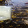 Strongedge 45 Express Clear Epoxy (Knife-grade) Strongedge 45 Express Clear Epoxy (Knife-grade)