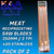 Meat Reciprocating Saw Blade 350MM x 3TPI PACK OF 2