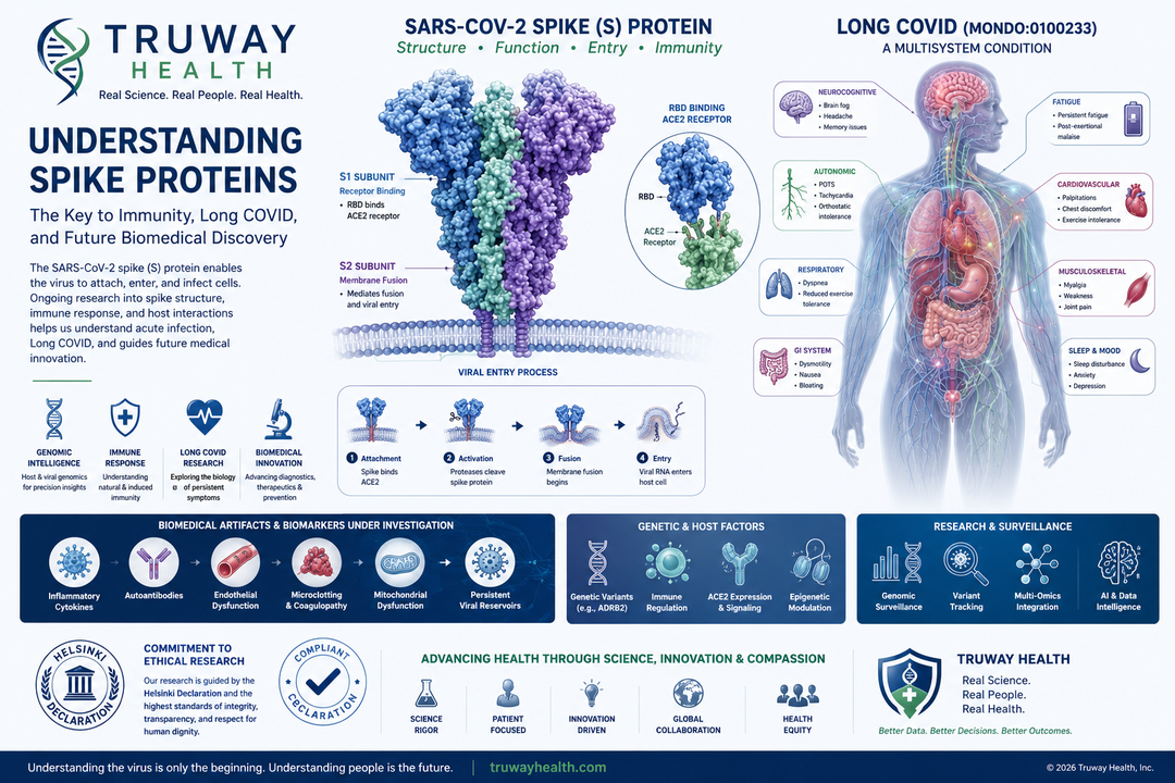 Understanding Coronavirus Spike Proteins: Why They Matter for Long COVID, Immunity, and Future Biomedical Discovery
