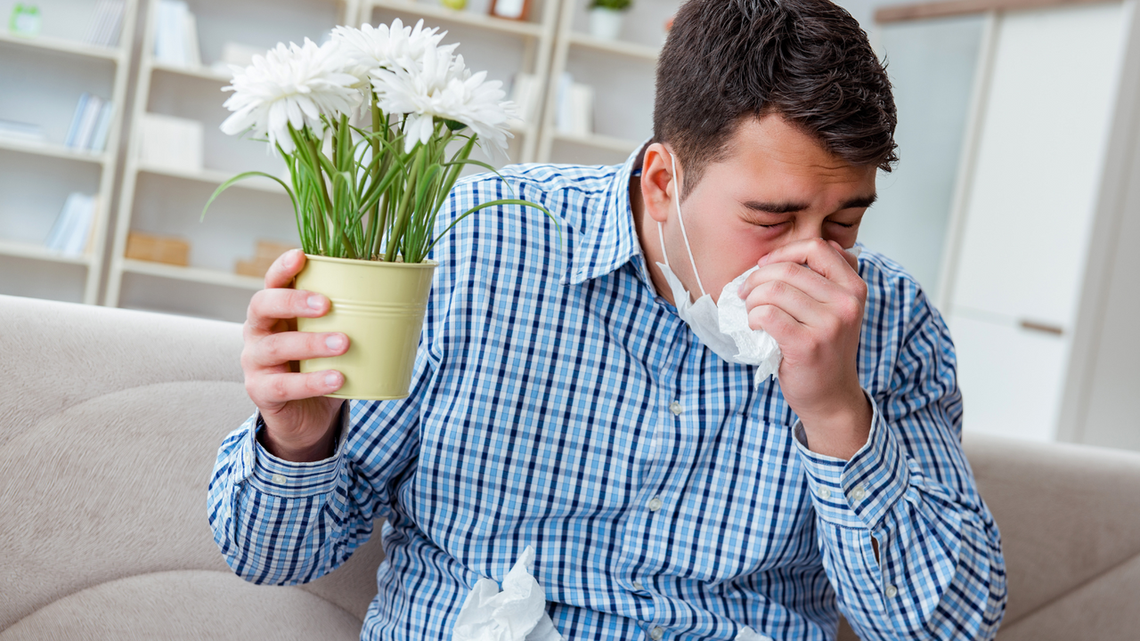 How to prepare for allergy season?
