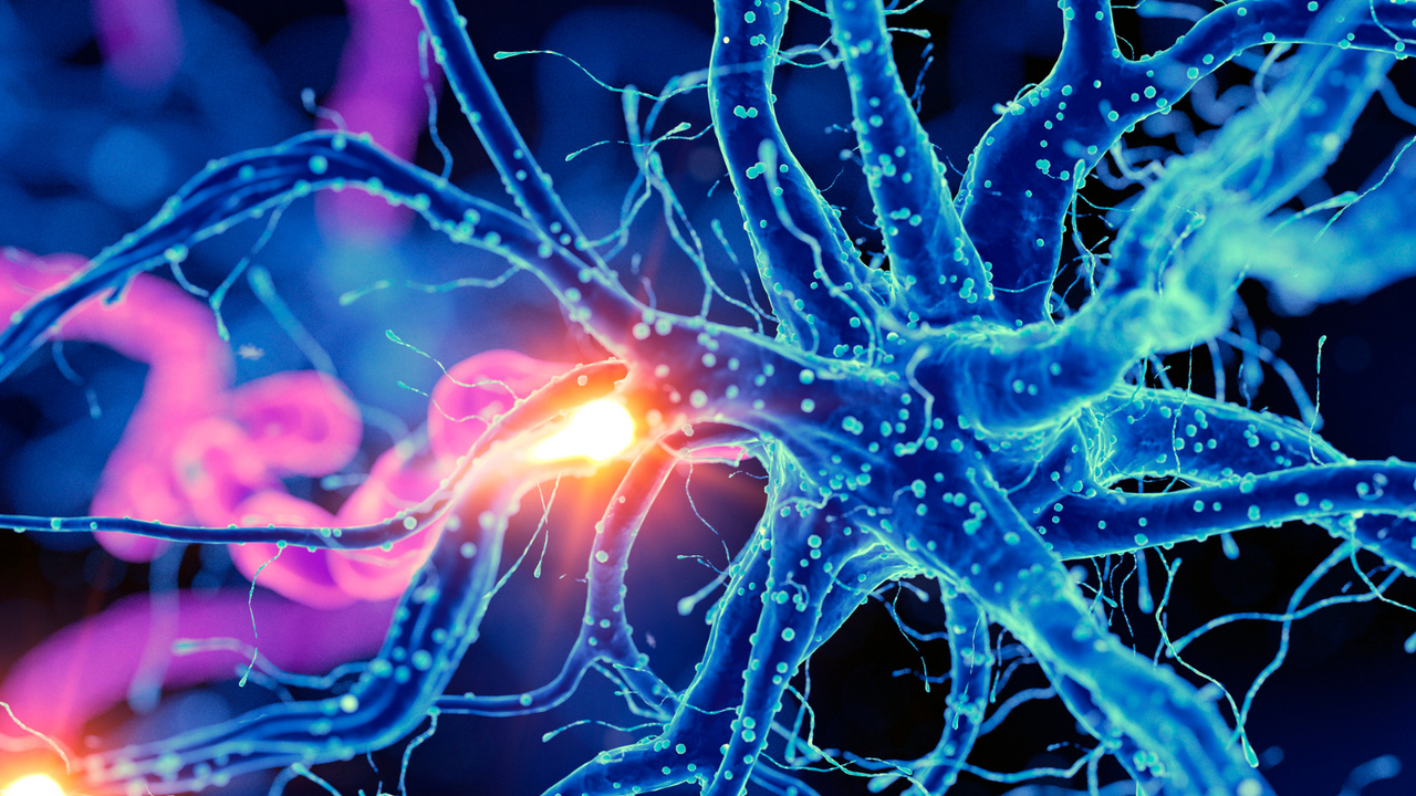 Understanding Neurological Disorders: Causes, Symptoms, and Treatments