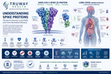 Understanding Coronavirus Spike Proteins: Why They Matter for Long COVID, Immunity, and Future Biomedical Discovery
