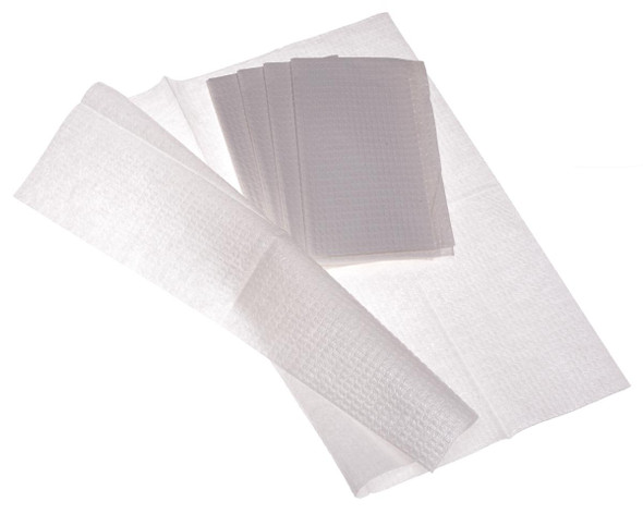 2-Ply Tissue / Poly Professional Towels