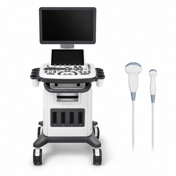 MSLCU46002 Trolley Color Doppler Ultrasound System — 19-Inch HD Monitor, 10.4-Inch Touchscreen, 3D/4D Imaging, Four Probe Ports | Two-Probe Configuration