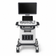 MSLCU46002 Trolley Color Doppler Ultrasound System — 19-Inch HD Monitor, 10.4-Inch Touchscreen, 3D/4D Imaging, Four Probe Ports | Two-Probe Configuration